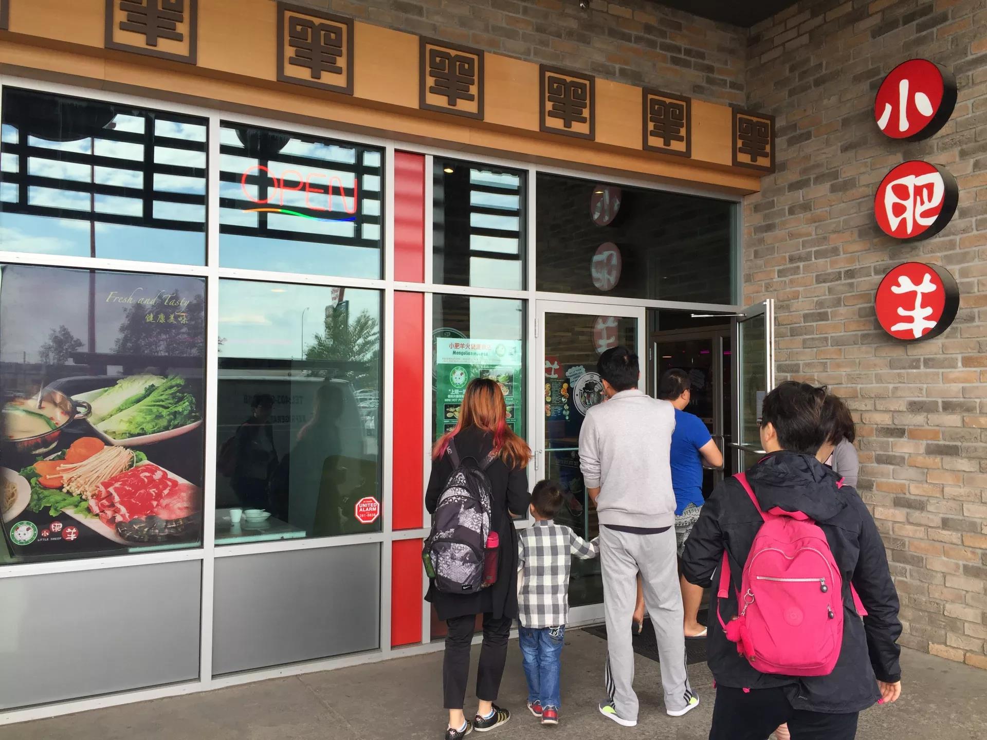 青岛如何带上猫猫去加拿大多伦多,钱猫猫加拿大之旅