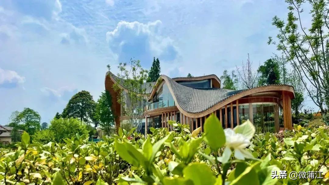 成都市全面推进乡村振兴意见建议,蒲江县乡村振兴