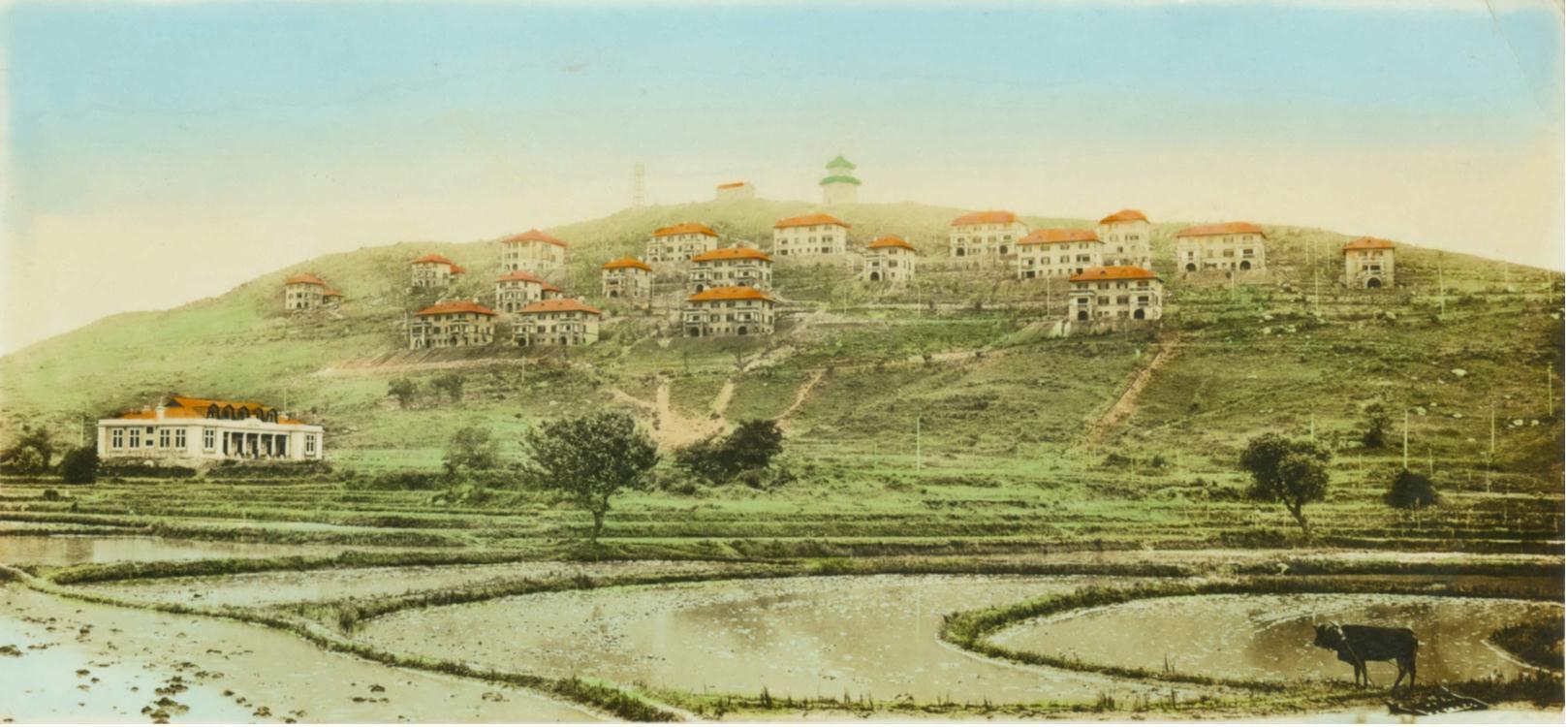 武大为啥没进去c9,珞珈山与武大什么关系