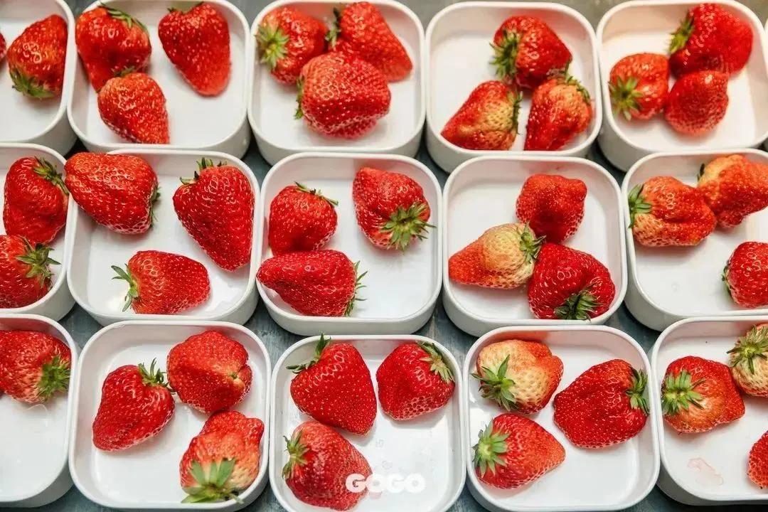 水果新店新升级|水果+来了车厘子草莓免费畅吃治愈你的假期综合症