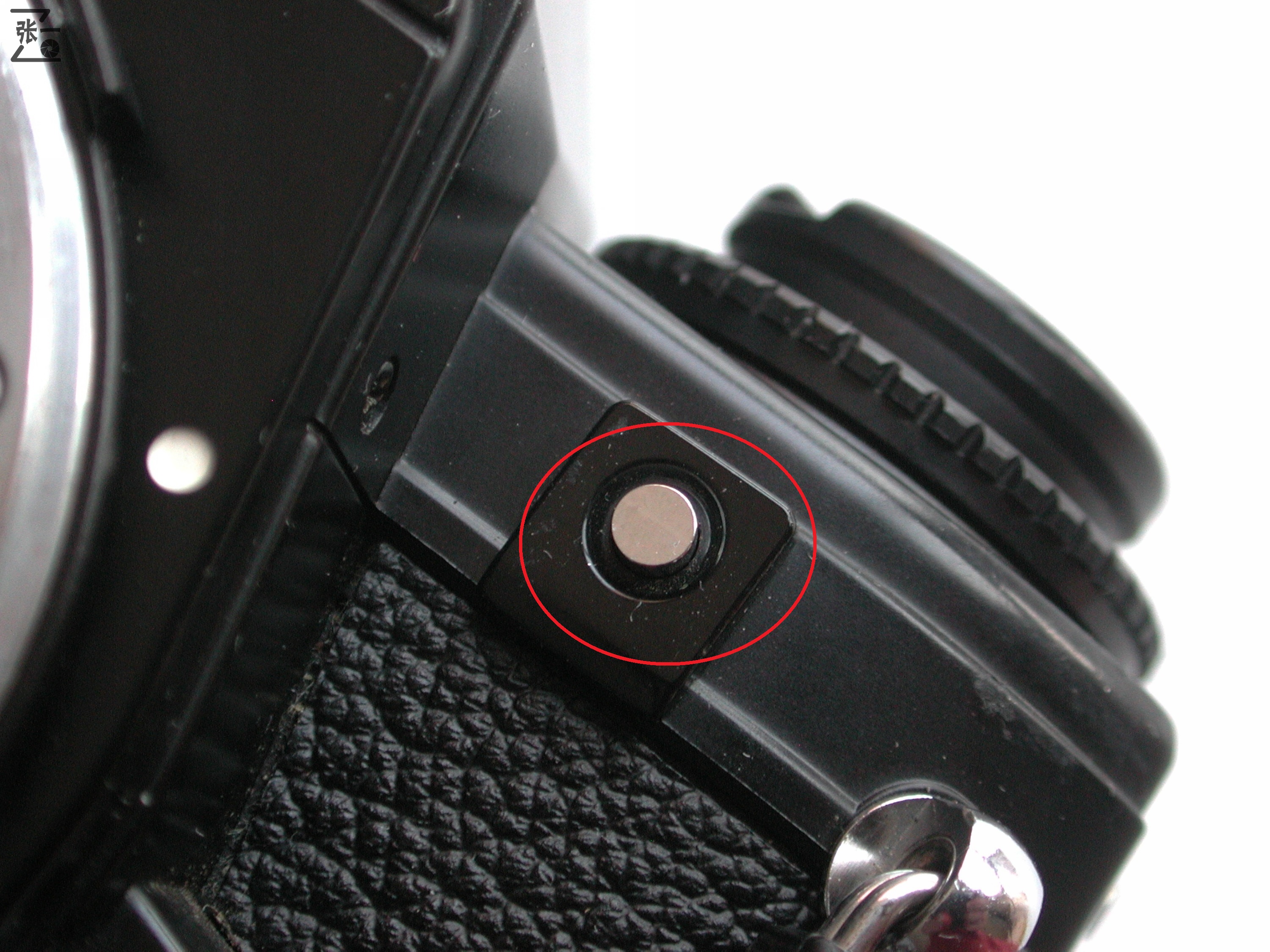 nikon单反最新款,最新款nikon相机