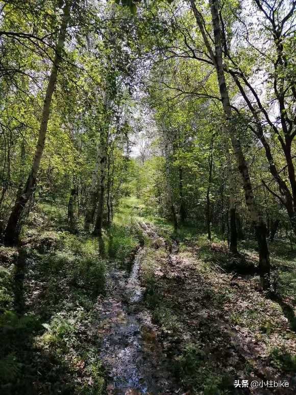 十款最佳通勤自行车旅行车,最适合家用旅行的好自行车