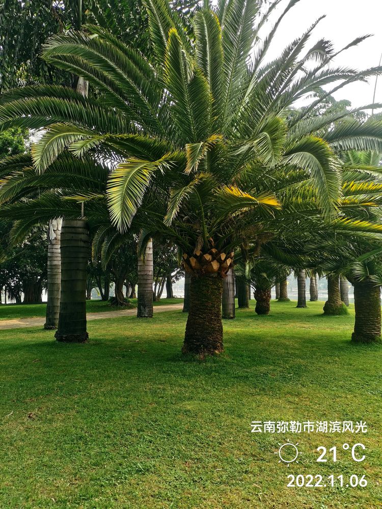 一座半城温泉新兴的福地——美丽的弥勒市作者：姚述清