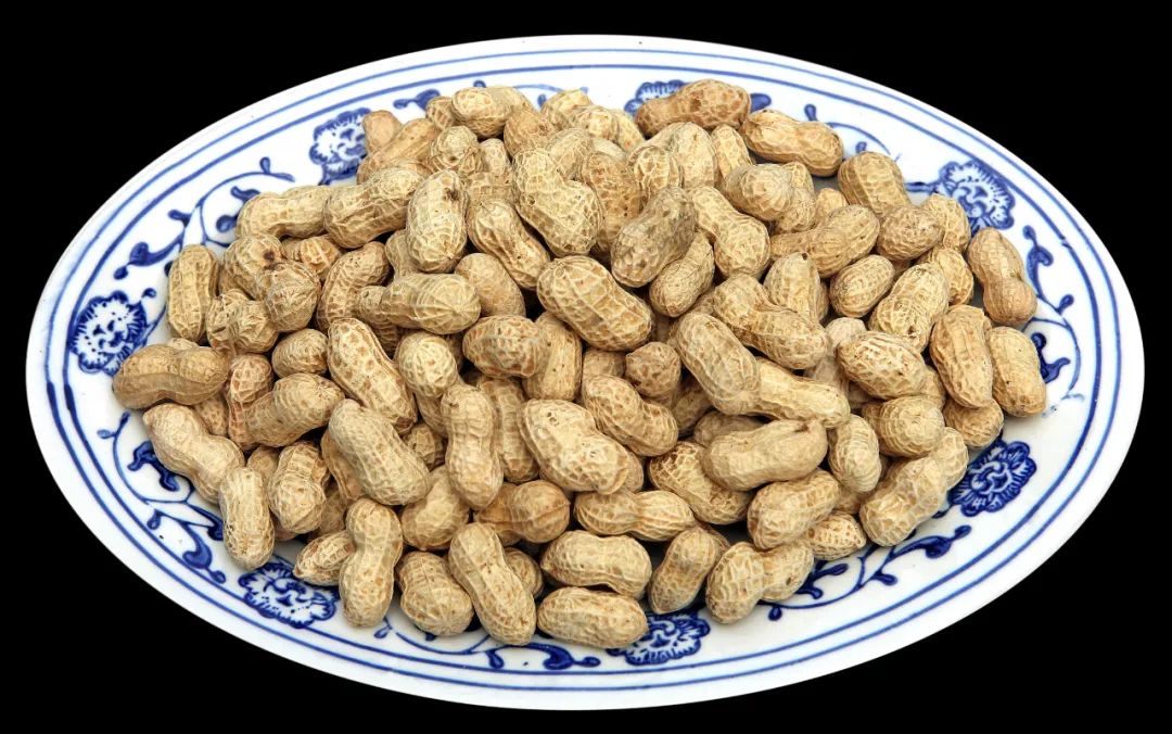 清明节逛李庄古镇,云逛自然博物馆