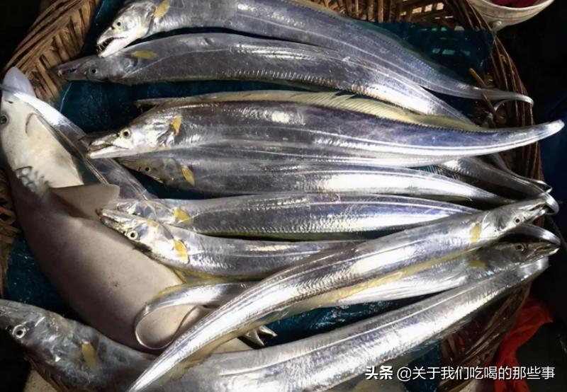 市场常见野生海鱼不能人工养殖的,什么海鱼养殖的比野生的好吃