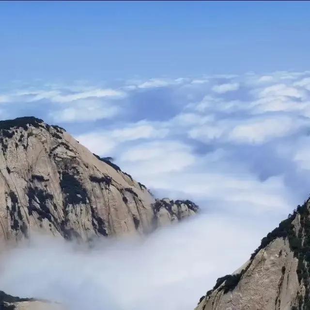 新一则寓言故事,寓言故事老虎百兽之王