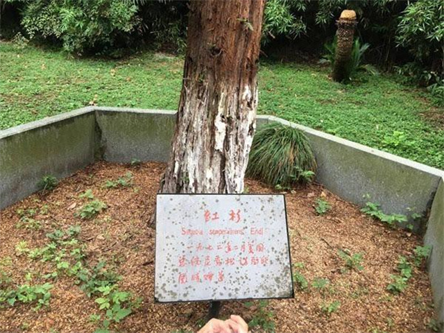 毛主席送给尼克松12字手书，尼克松看后一头雾水，至今无人能解