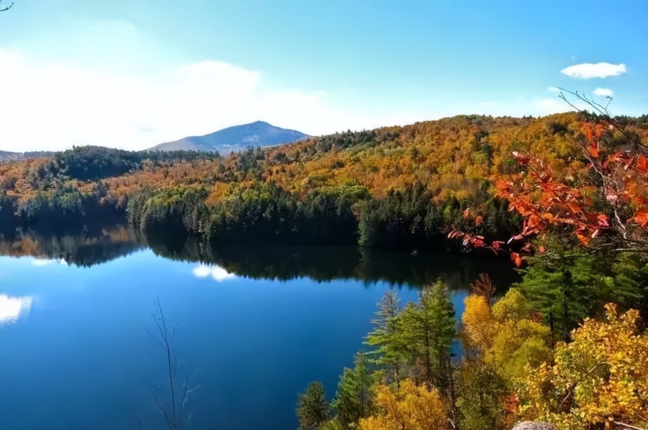 马云如果不卸任会怎样,马云卸任后的目标