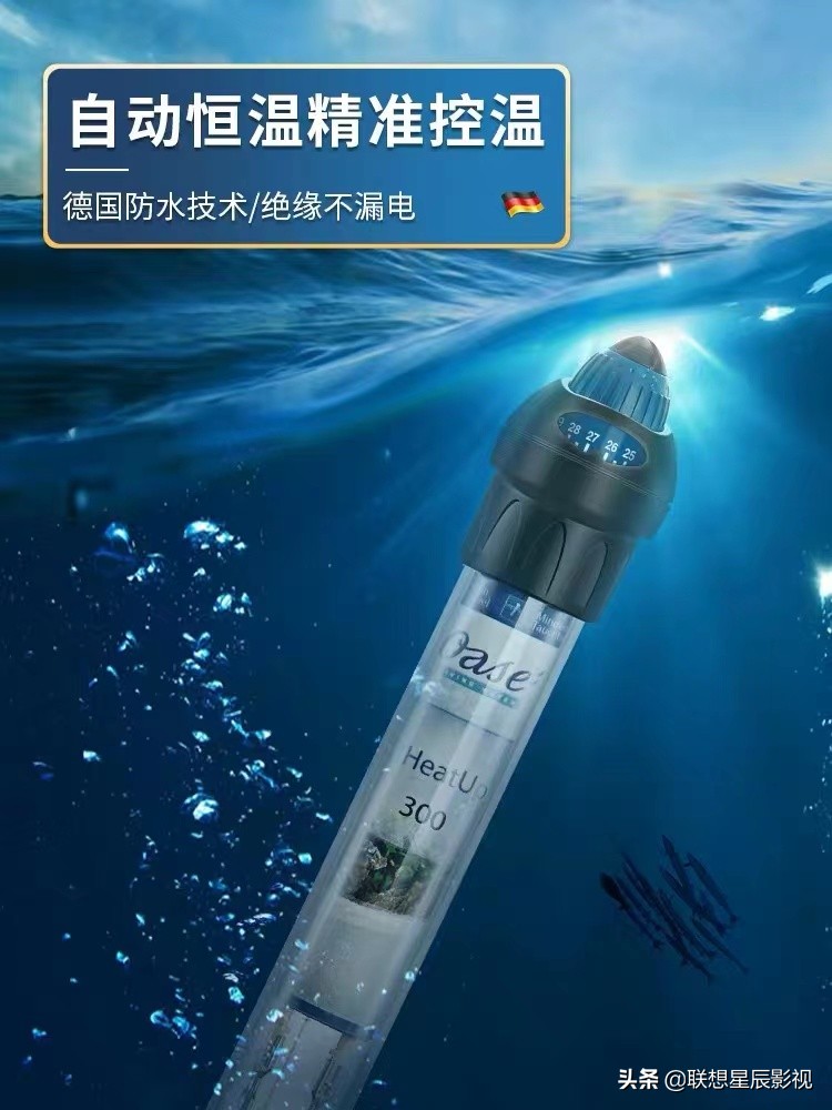 观赏鱼加热棒使用标准,观赏鱼的加热棒型号和区别