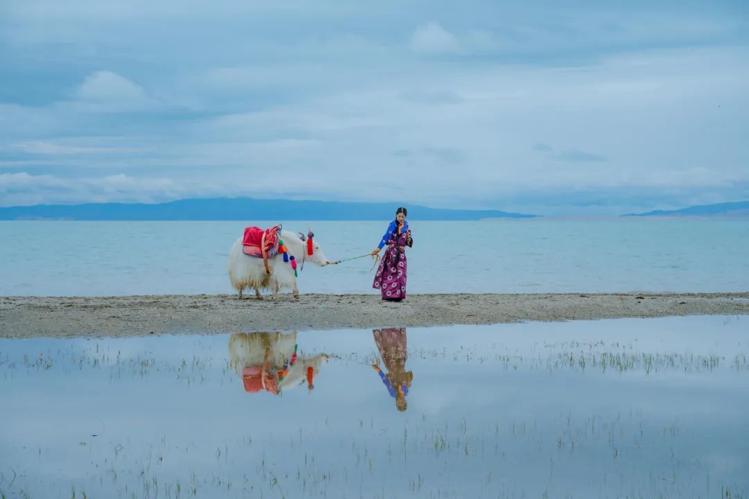 8月中旬带孩子去甘肃,带孩子去敦煌7天
