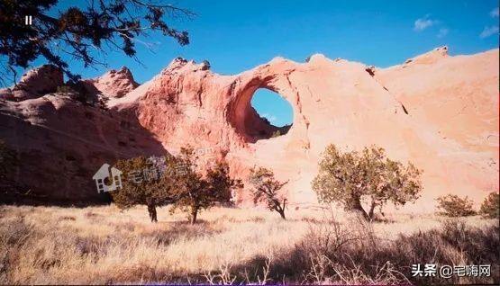 三星samsung55英寸oled测评,三星lsp9t评测