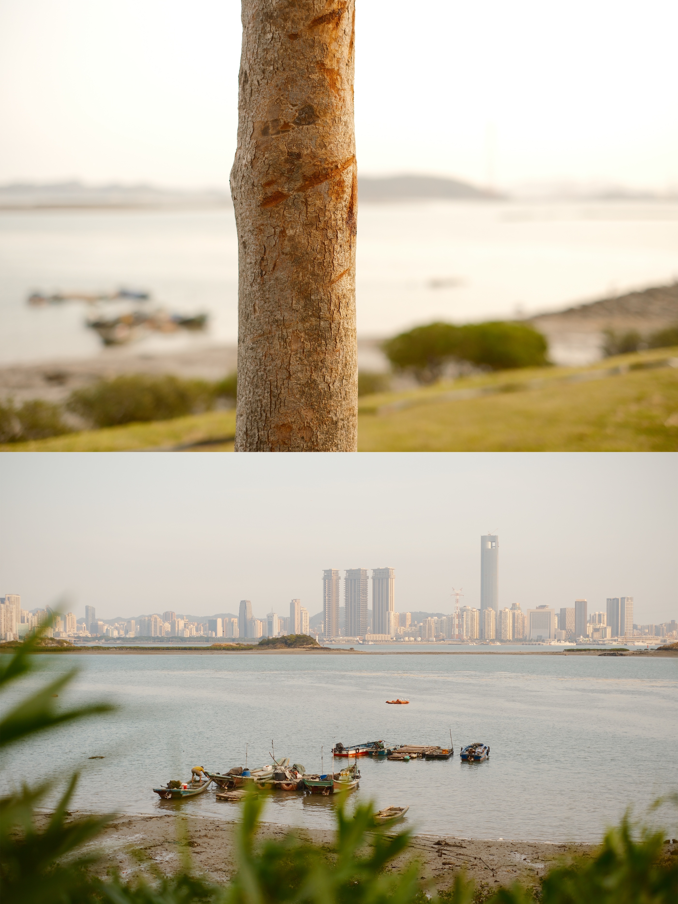 富士颜色最好看的相机,富士相机胶片直出推荐