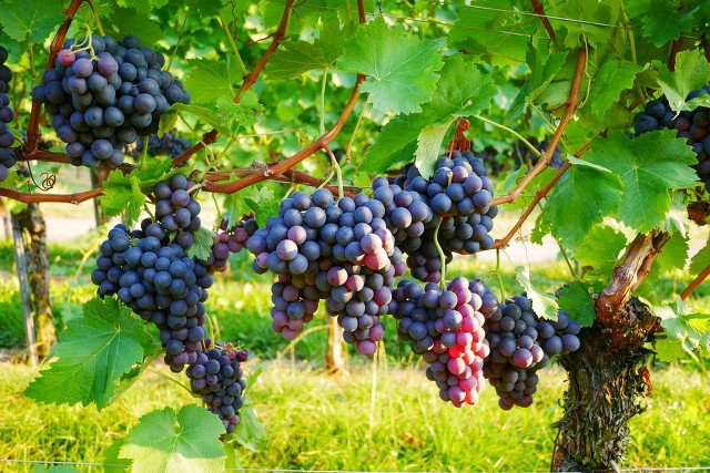 未来中国十大赚钱行业,中国未来10大暴利行业