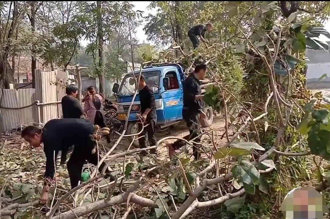 远嫁山东果敢姑娘,缅甸果敢妹远嫁山东