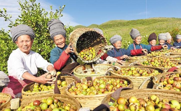 中央定调明年经济释放重要信号,重要会议定调！释放货币政策信号