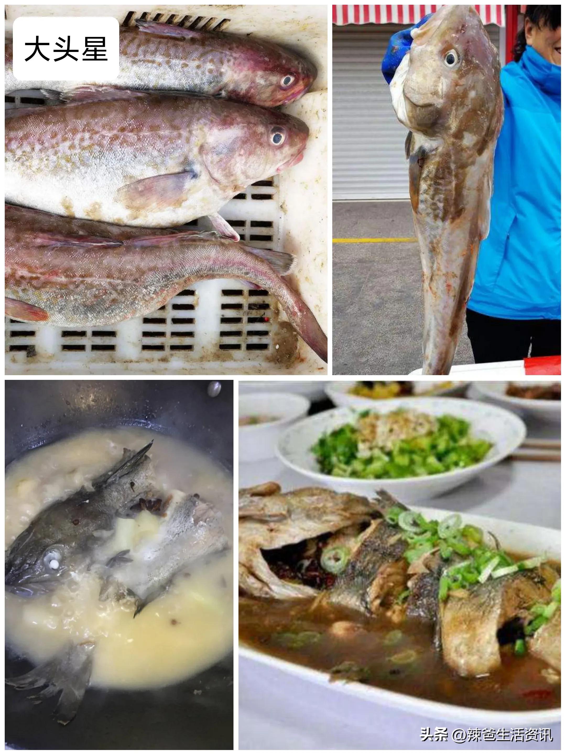 30种最常吃的海鱼做法,家常有哪些海鱼最好吃