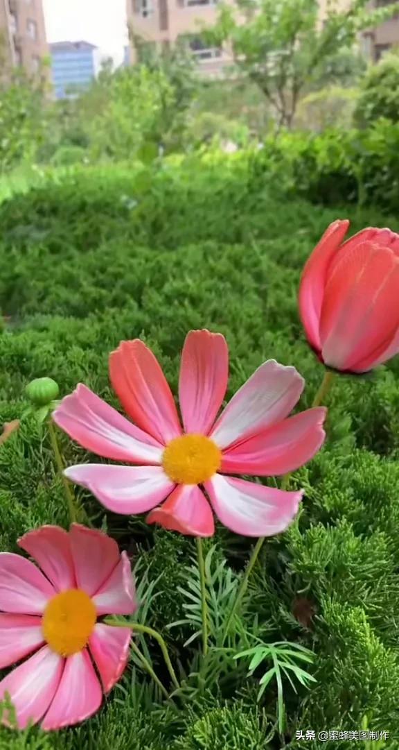 高手在民间根雕做得栩栩如生,看起来很牛逼的手工制作