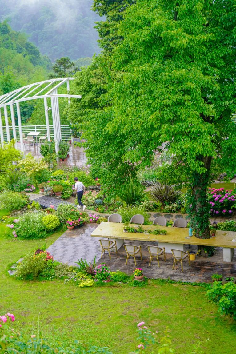 躲进山里民宿,躲在深山老林的民宿