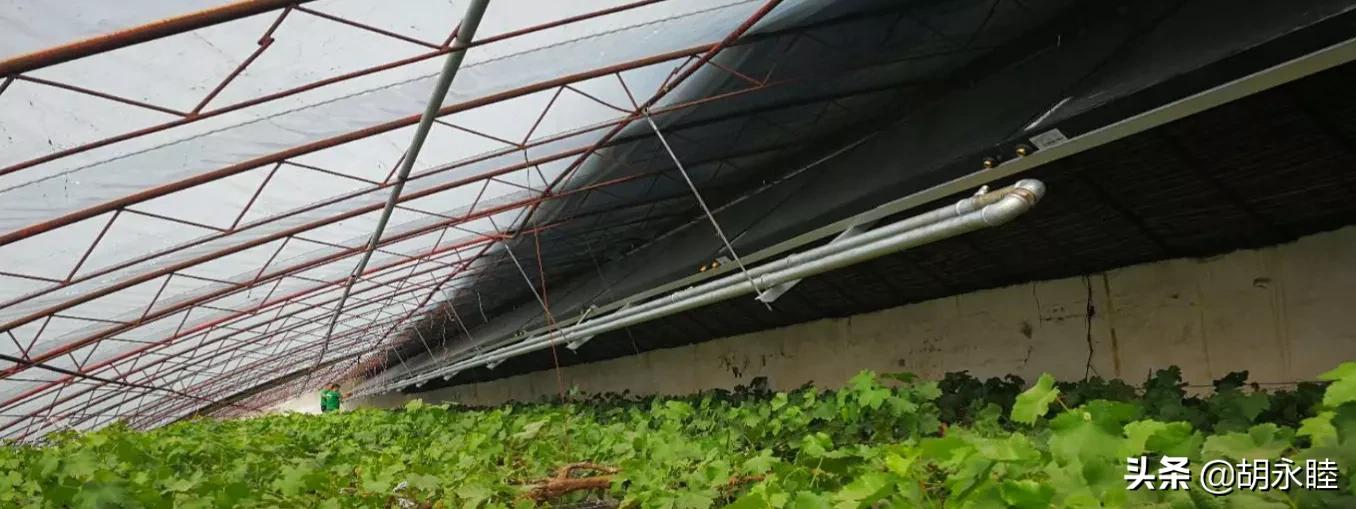 农村家用供暖多少度合适,农村电采暖的利弊