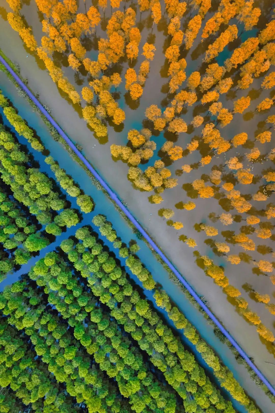 2022新洲文旅精彩不断，2023诗与远方步履不停