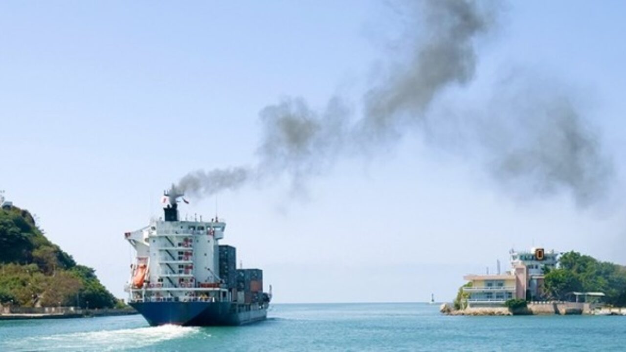 轮船底下的海鲜可以吃吗,船底下面清理出来的海鲜能吃不