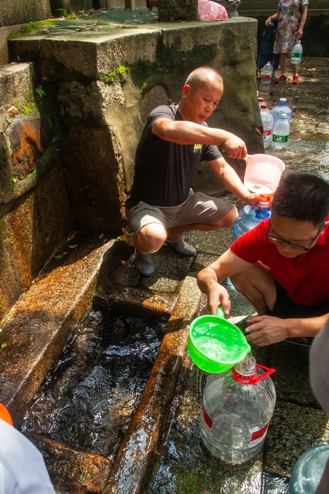什么牌子水泡茶最好喝,什么牌子的水泡茶最好喝