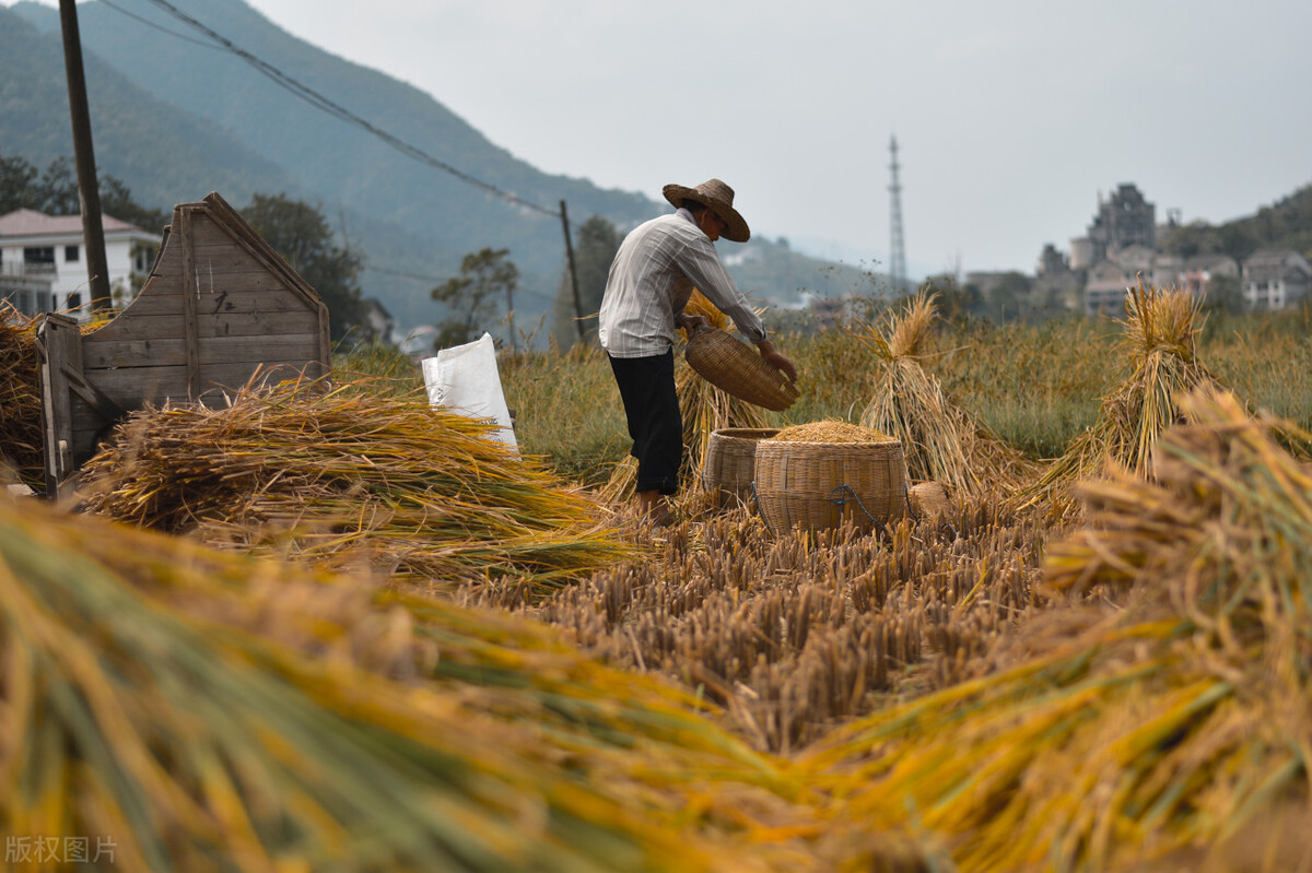 2026年农村会发生什么样的变化,2023年农村将会发生以下几大变化