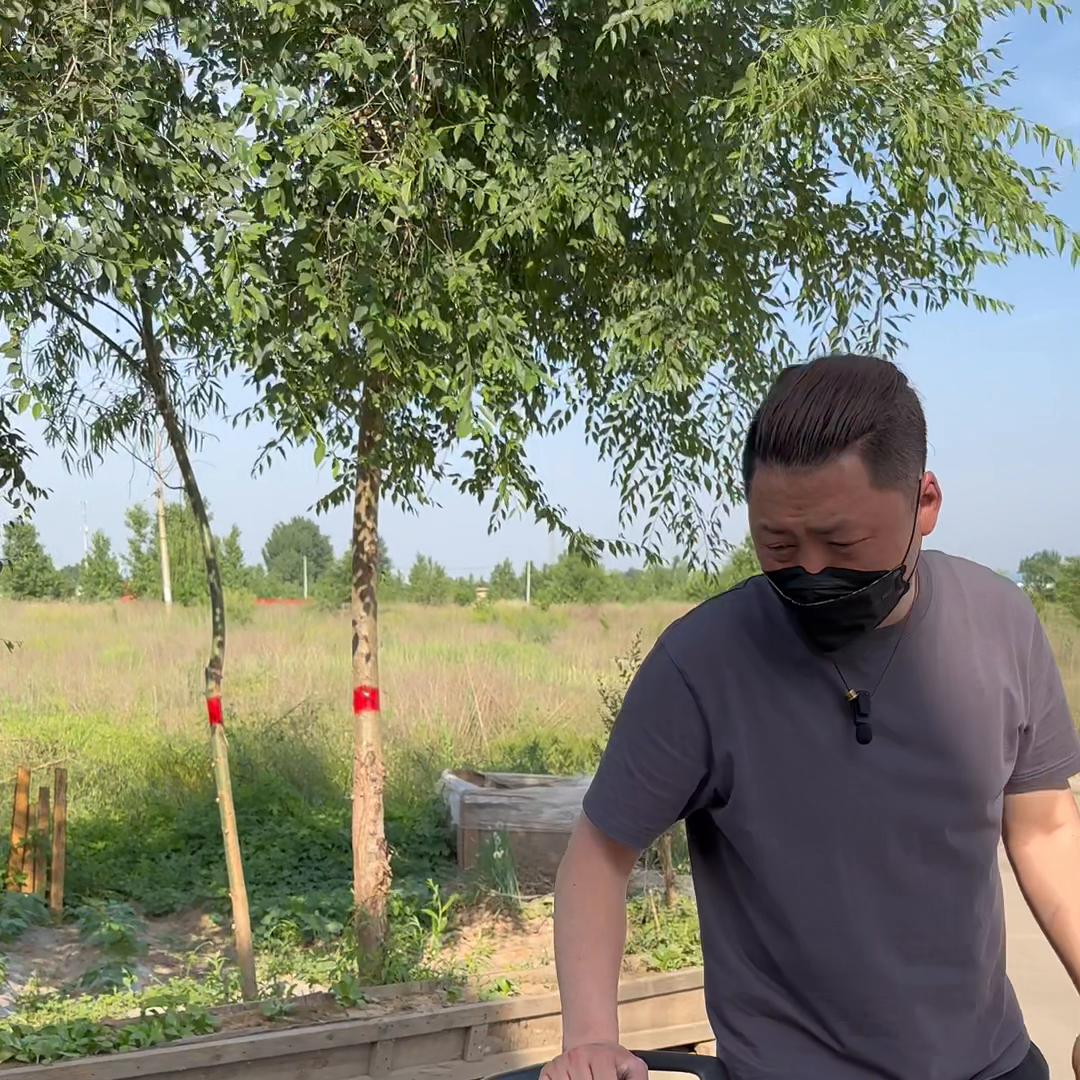 找物流尽量找大物流公司 准新车出现运损，略带遗憾@DOU+小助手