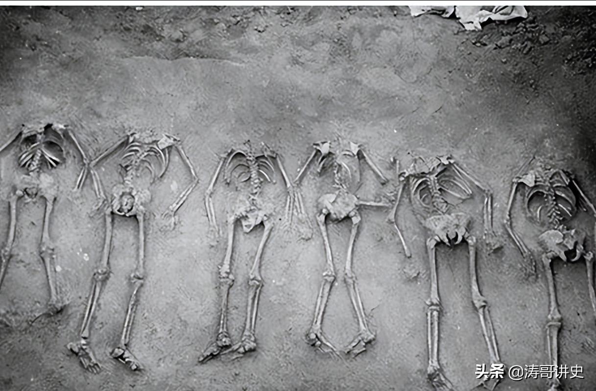 殷墟发现白人遗骨,殷墟遗址出土白人头骨