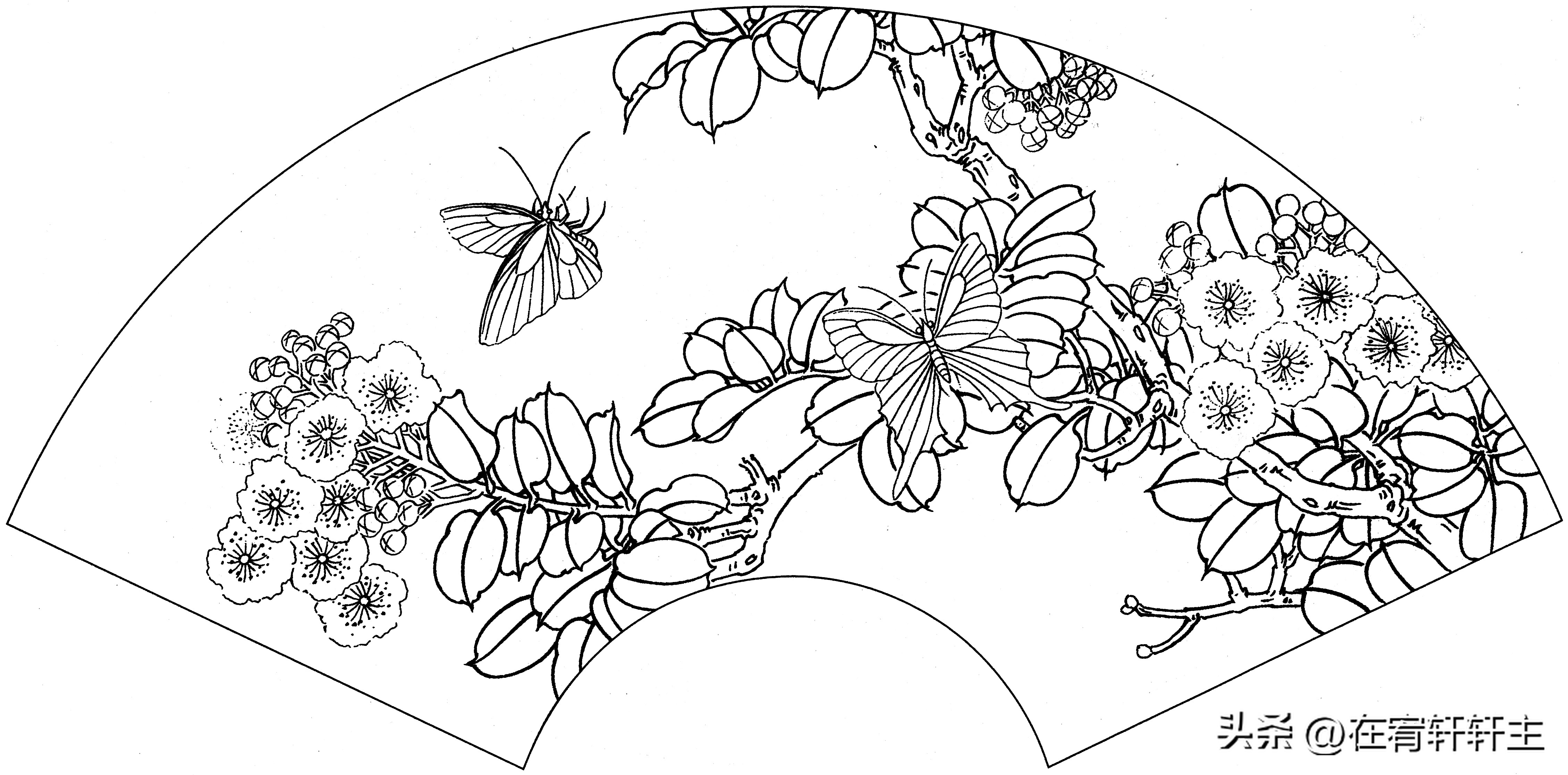 工笔白描祥云图案扇面,工笔扇面葡萄白描图片