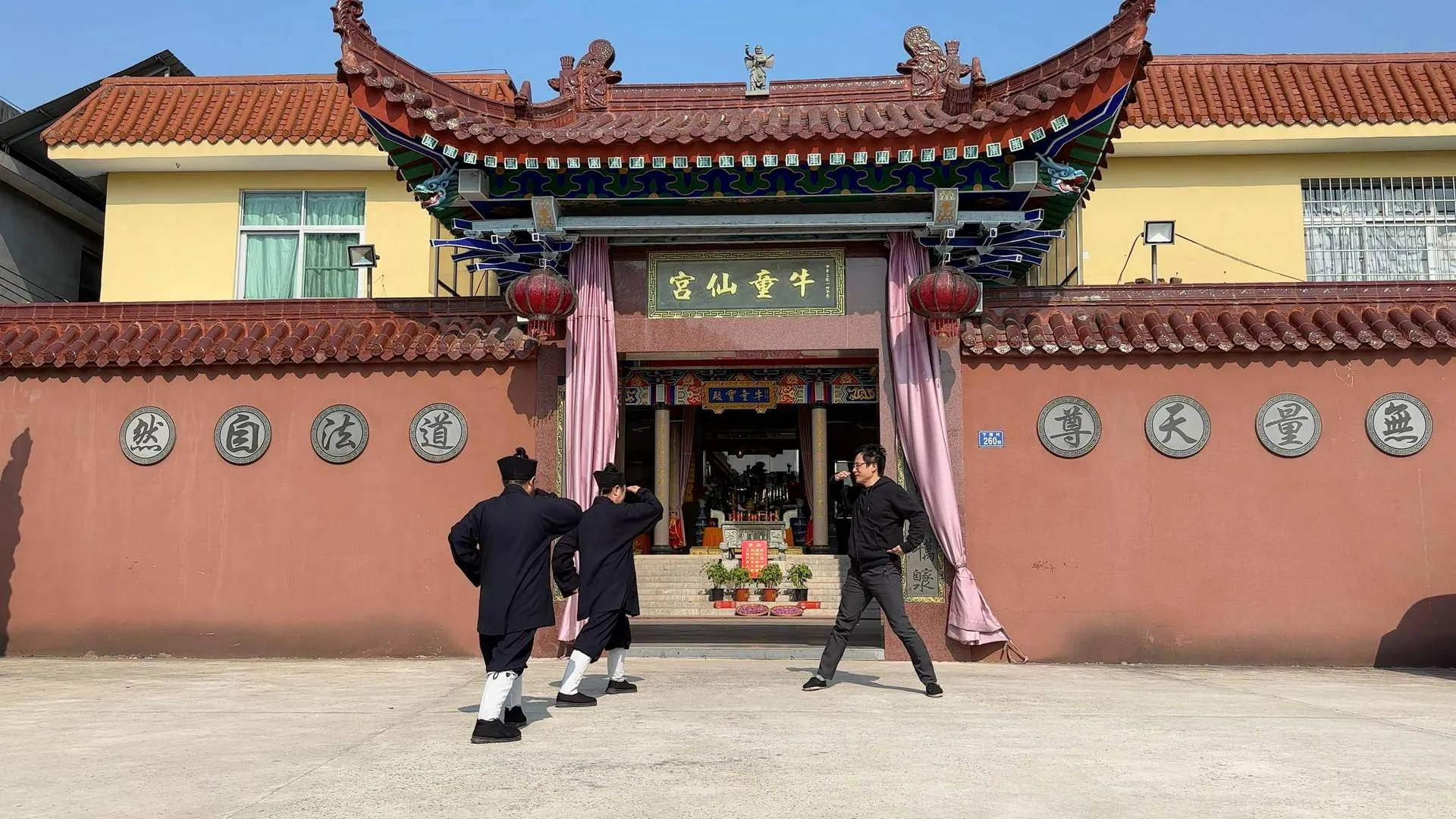 油麻菜金刚功视频,油麻菜金刚功注意事项