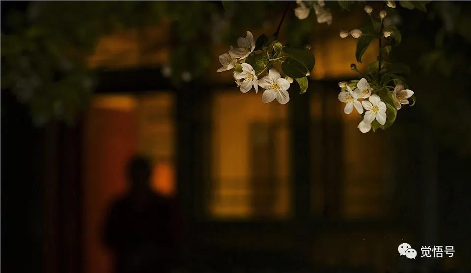 寺院为什么需修建围墙,佛教寺院的围墙是什么色