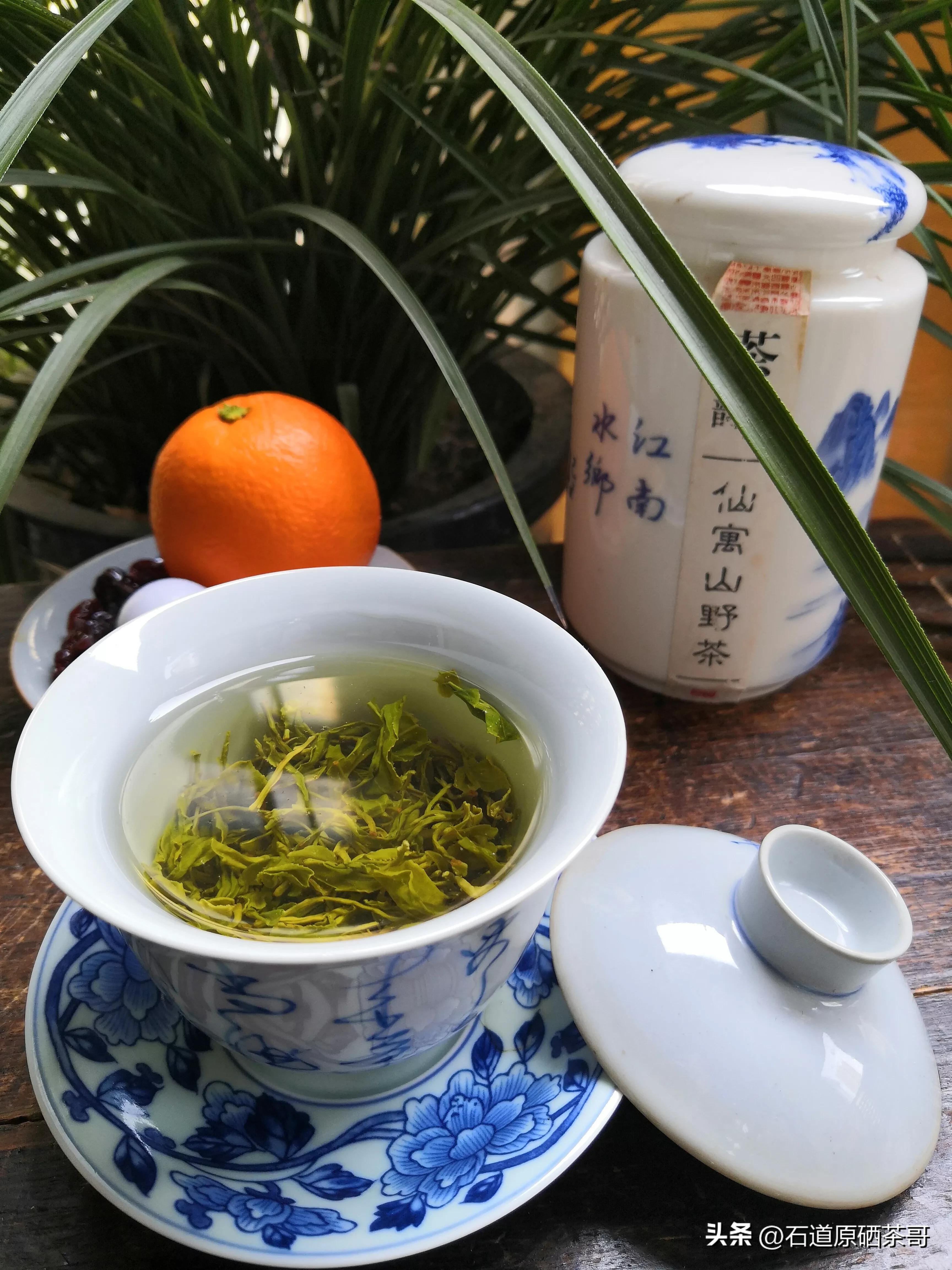 怎么看野茶,野茶好喝还是种植茶好喝