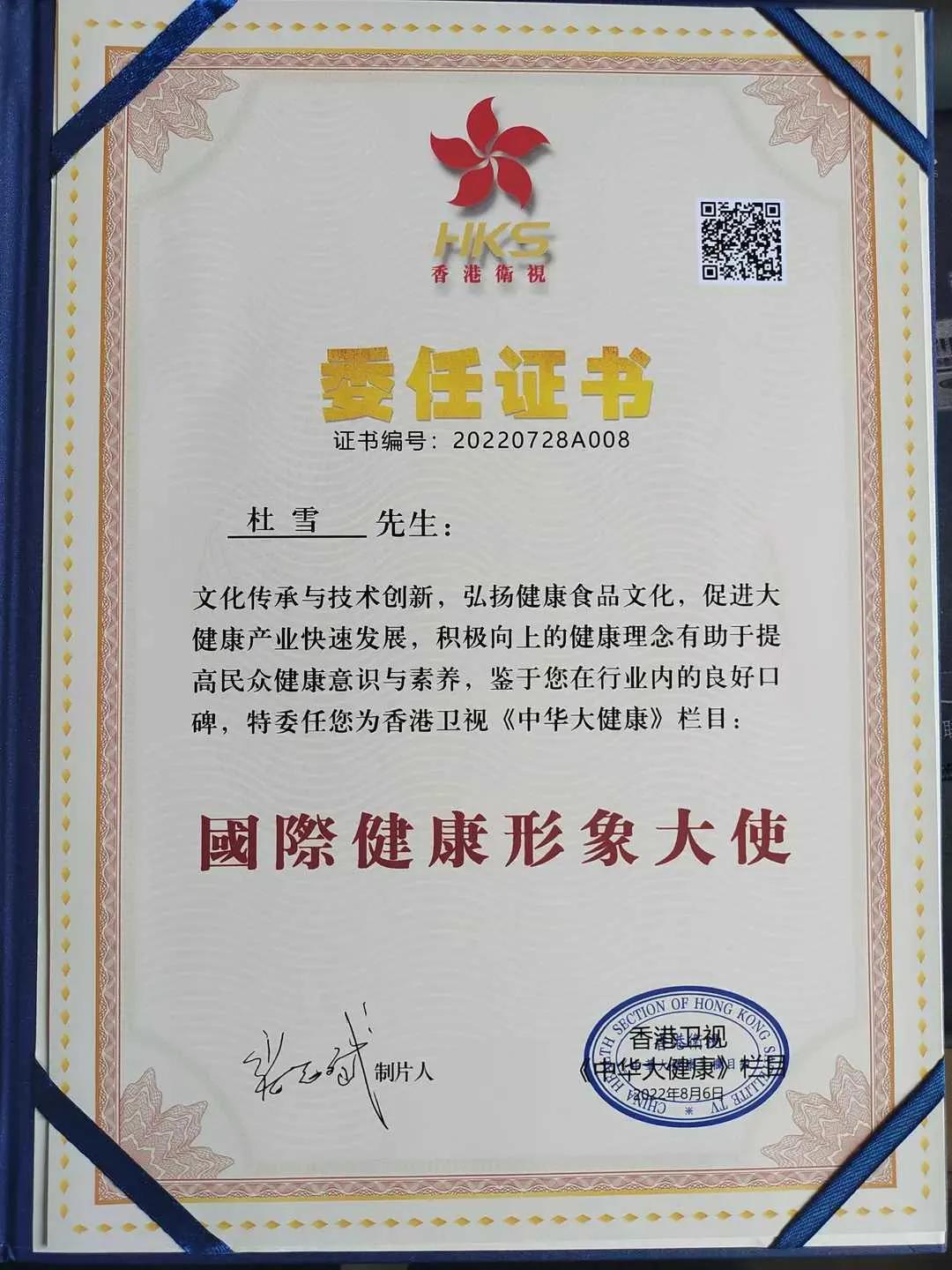 不懂装懂完整版视频,不懂装懂懂装不懂