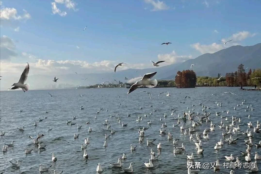 河南本科提前批学校有哪些,河南本科提前批都有哪些学校