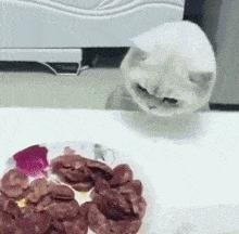 每日一笑逗乐妹子,每日一逗完整版