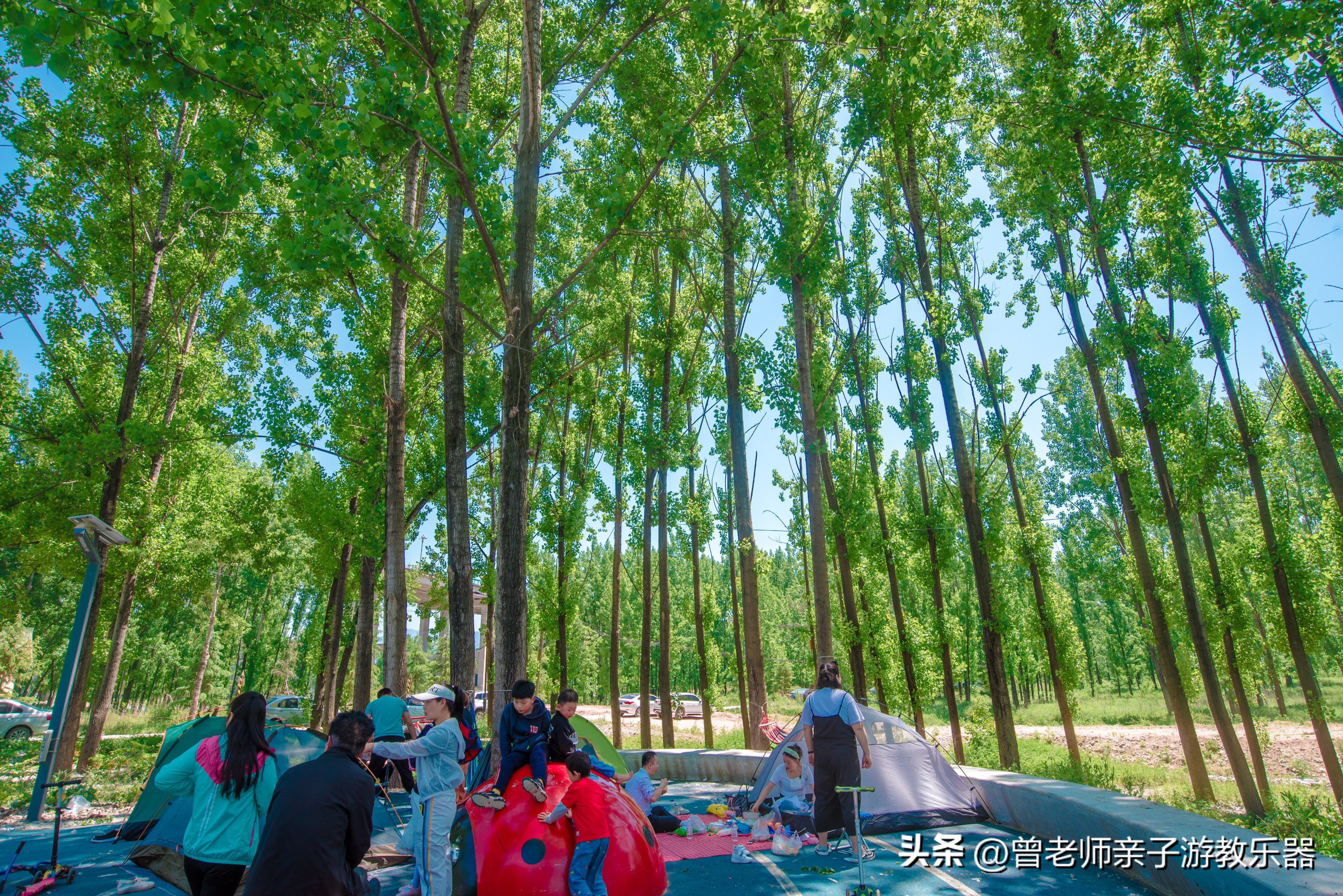 西安旅游景点免费推荐一日游攻略,西安旅游必去景点推荐一日游免费