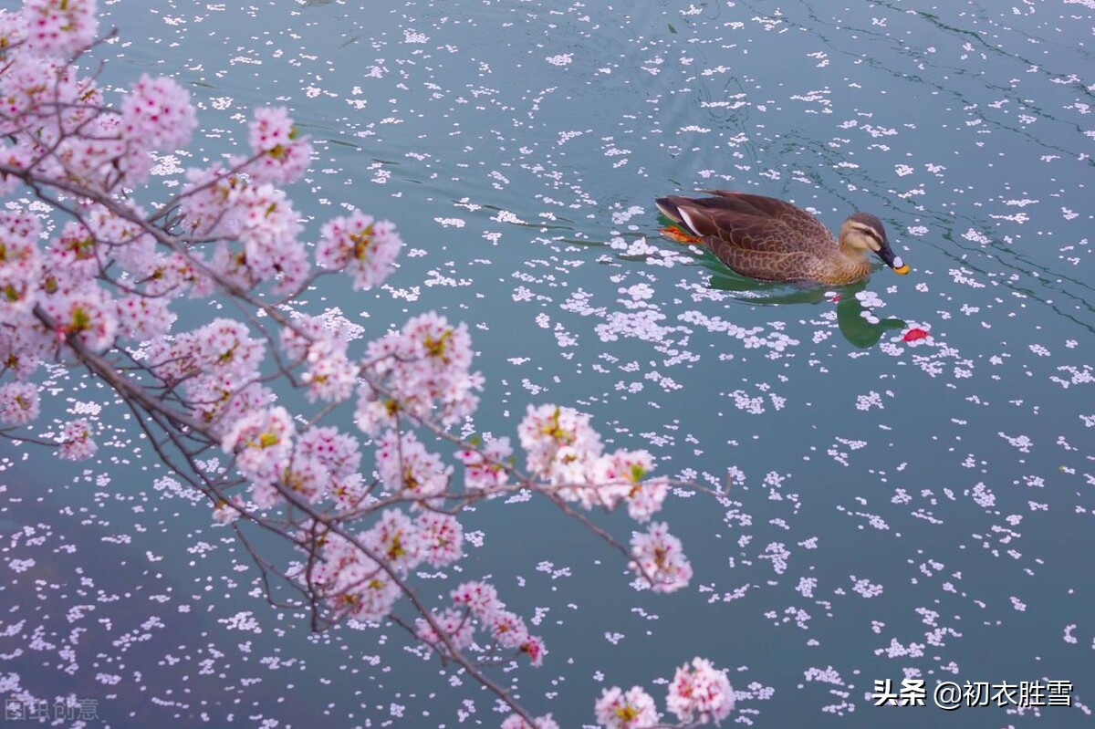 盛唐李白仙意落花五首:愿随夫子天坛上,闲与仙人扫落花