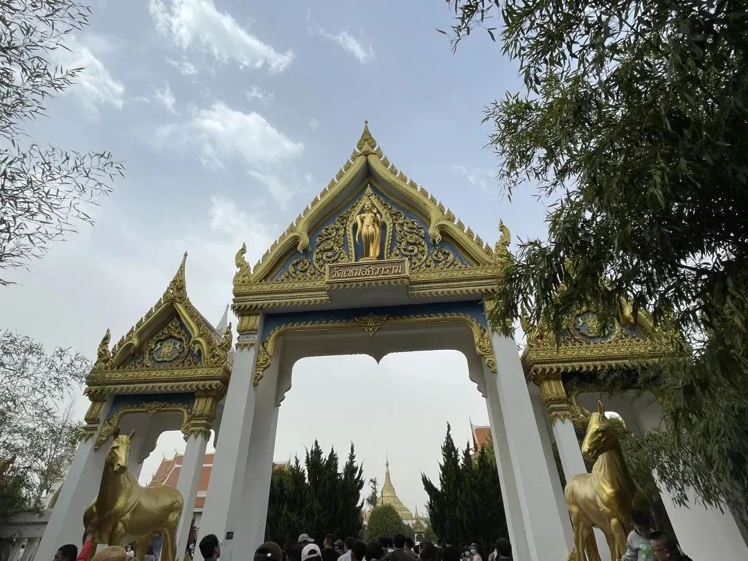 设计知旅第64期丨郑在洛地：设计师职业探索走进神都洛阳