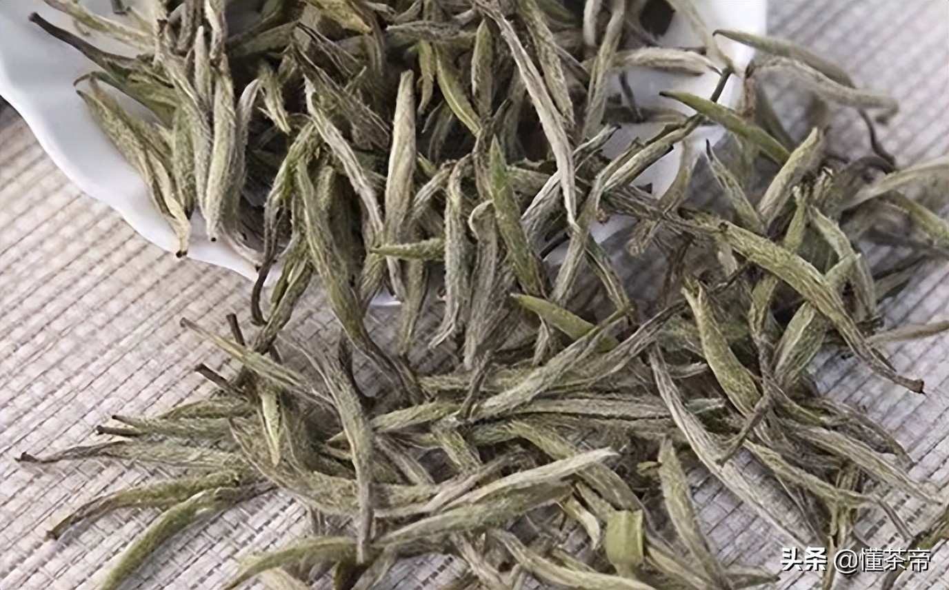 福鼎政和白茶特级白毫银针,政和白茶和福鼎寿眉的区别