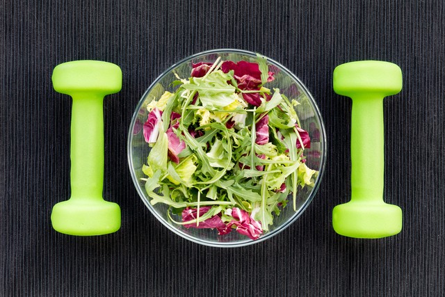 动物食物推荐,动物怎么分辨食物好不好