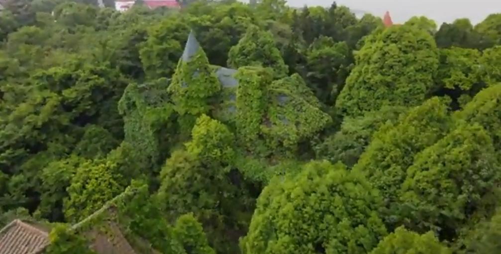 贵阳市废弃别墅群,贵阳荒废别墅群