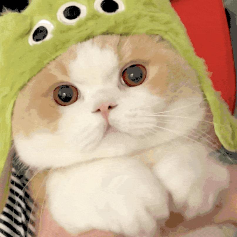 usnews2021世界最佳商学院mba排名,沃顿商学院mba排名