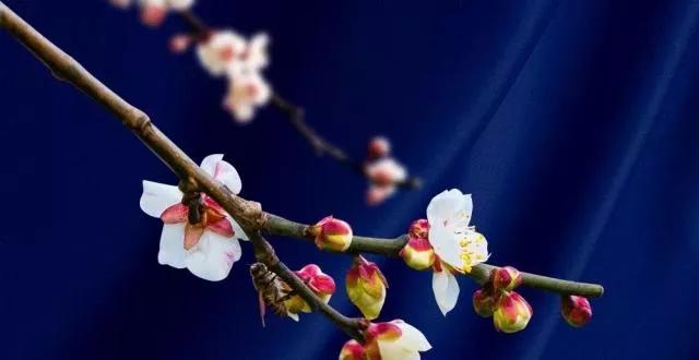 家庭实用的省钱小妙招,生活中居家的省钱小妙招