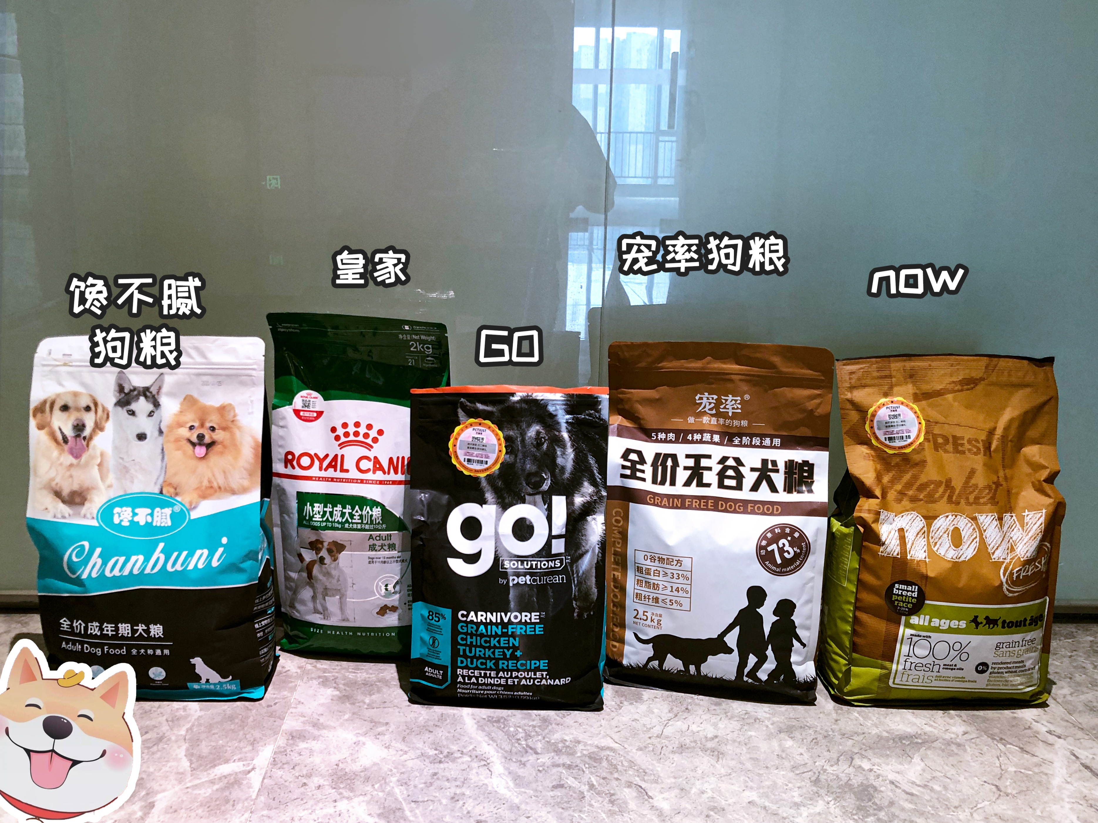 泰迪喜欢粘你,泰迪特别喜欢挨着你