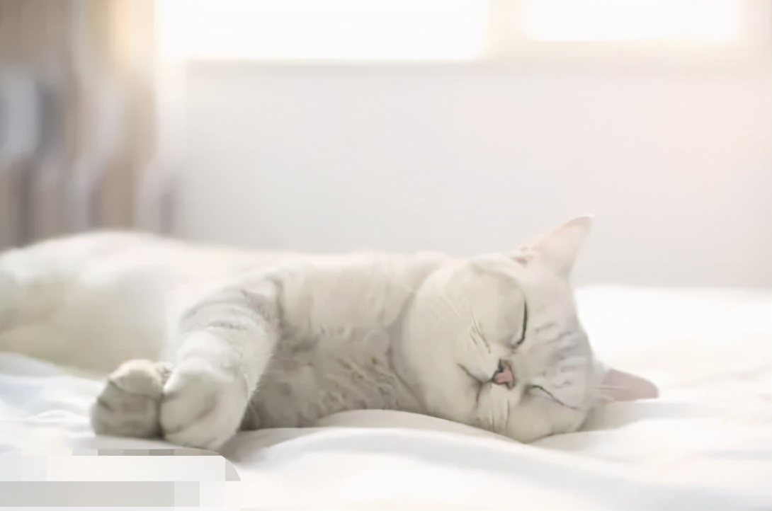 裸睡好处多但要注意睡眠环境,裸睡是健康的睡眠方式