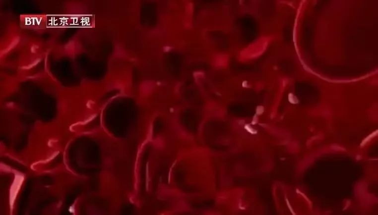 不粘锅铁锅不锈钢锅哪一种最好用,不锈钢铁锅不粘锅