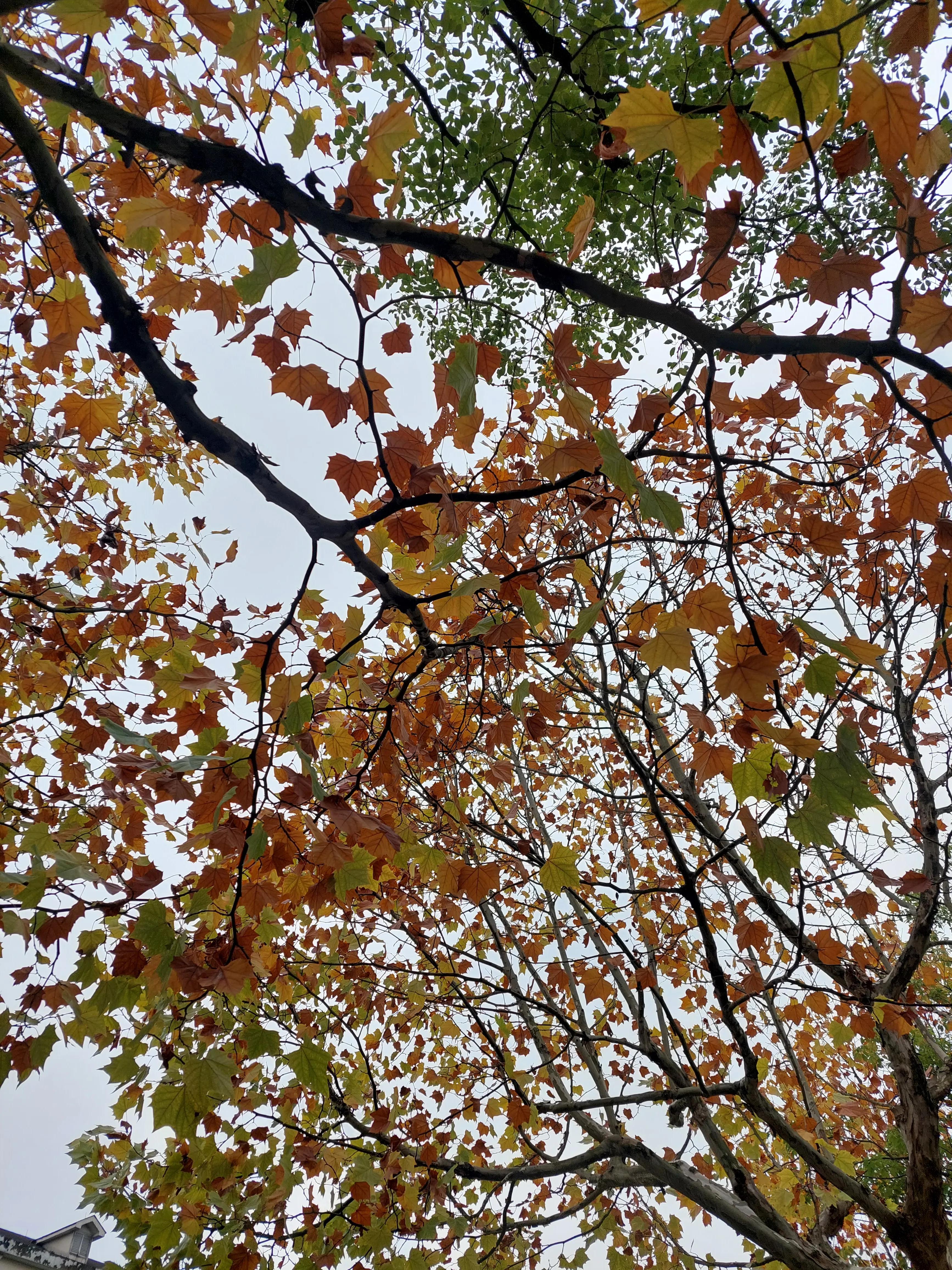 点球大战门将和主罚球员谁压力大,点球大赛门将互点