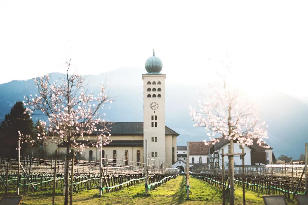 HotelSchwarzschmied在葡萄园城堡里感受度假的氛围