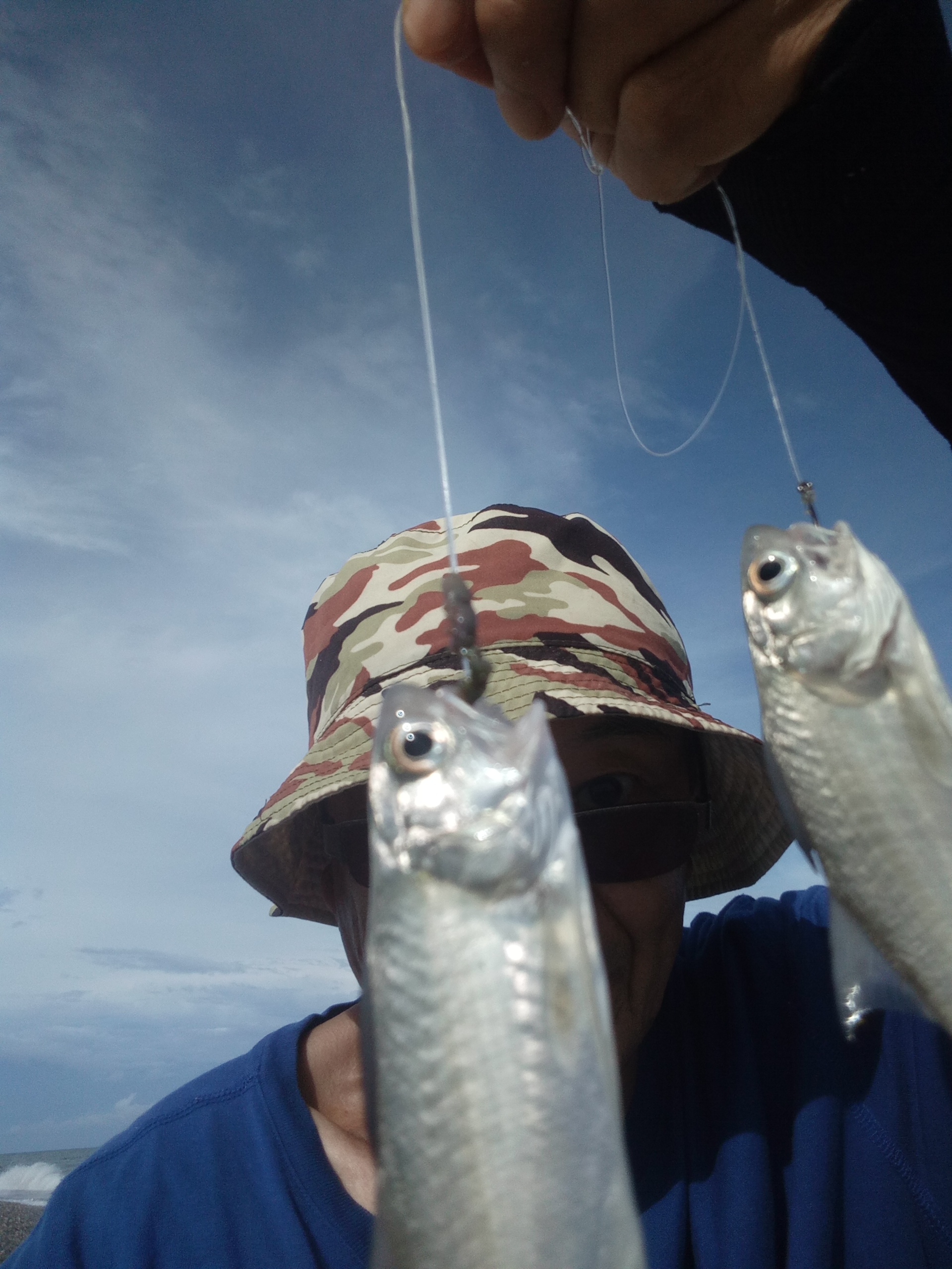 花莲县钓鱼,花莲在哪里海钓